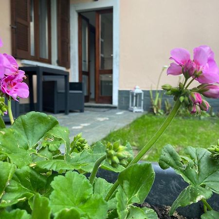 Peonia Apartment - Appartamento Vista Lago Lezzeno Eksteriør bilde