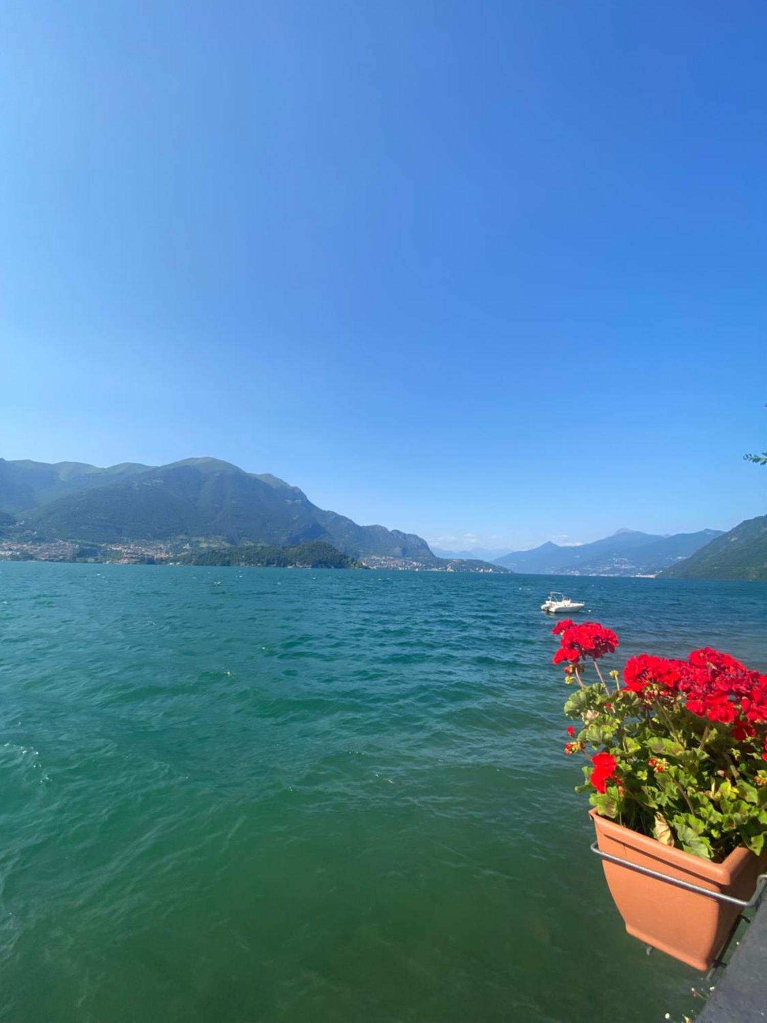 Peonia Apartment - Appartamento Vista Lago Lezzeno Eksteriør bilde