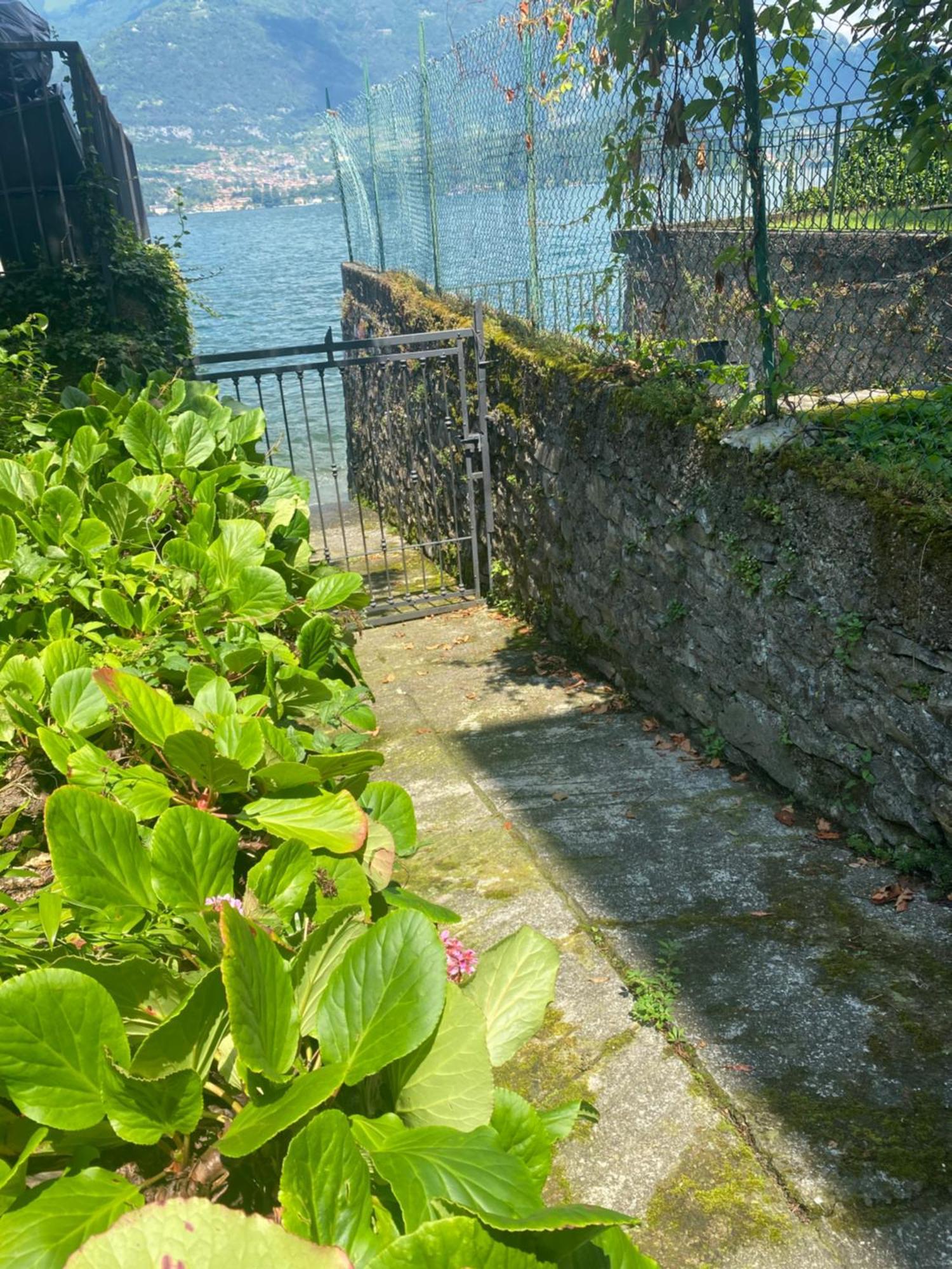 Peonia Apartment - Appartamento Vista Lago Lezzeno Eksteriør bilde
