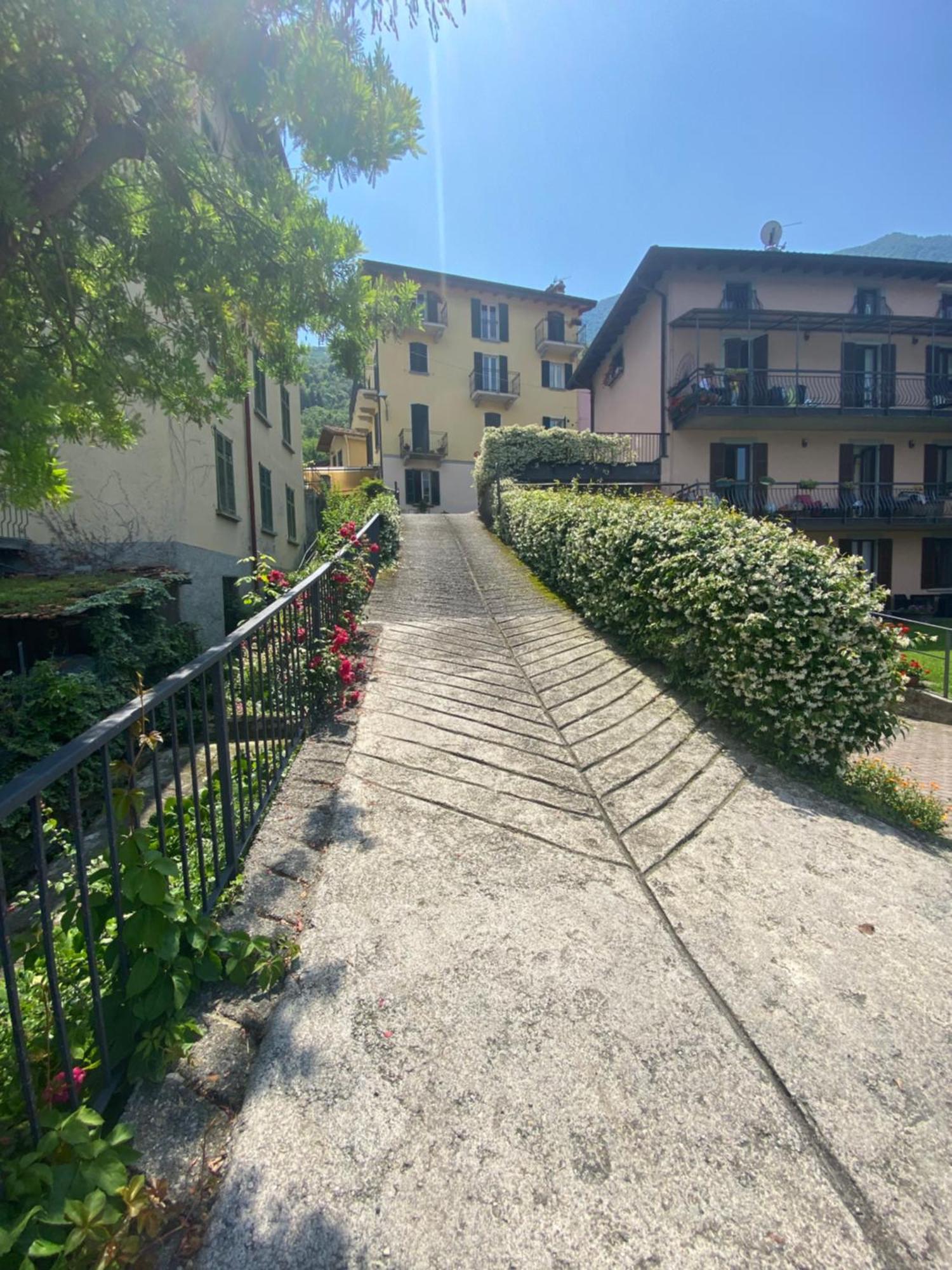 Peonia Apartment - Appartamento Vista Lago Lezzeno Eksteriør bilde