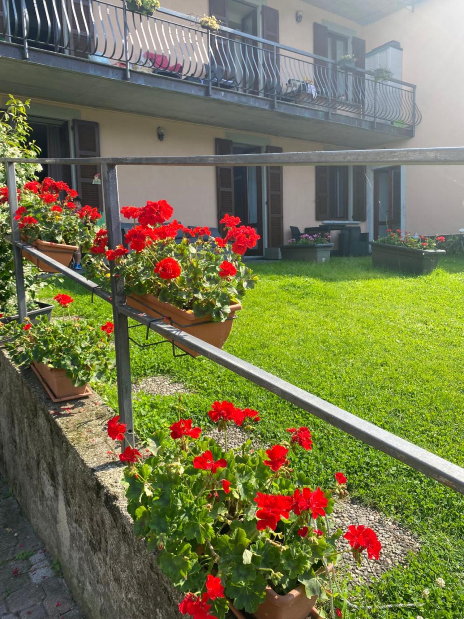 Peonia Apartment - Appartamento Vista Lago Lezzeno Eksteriør bilde