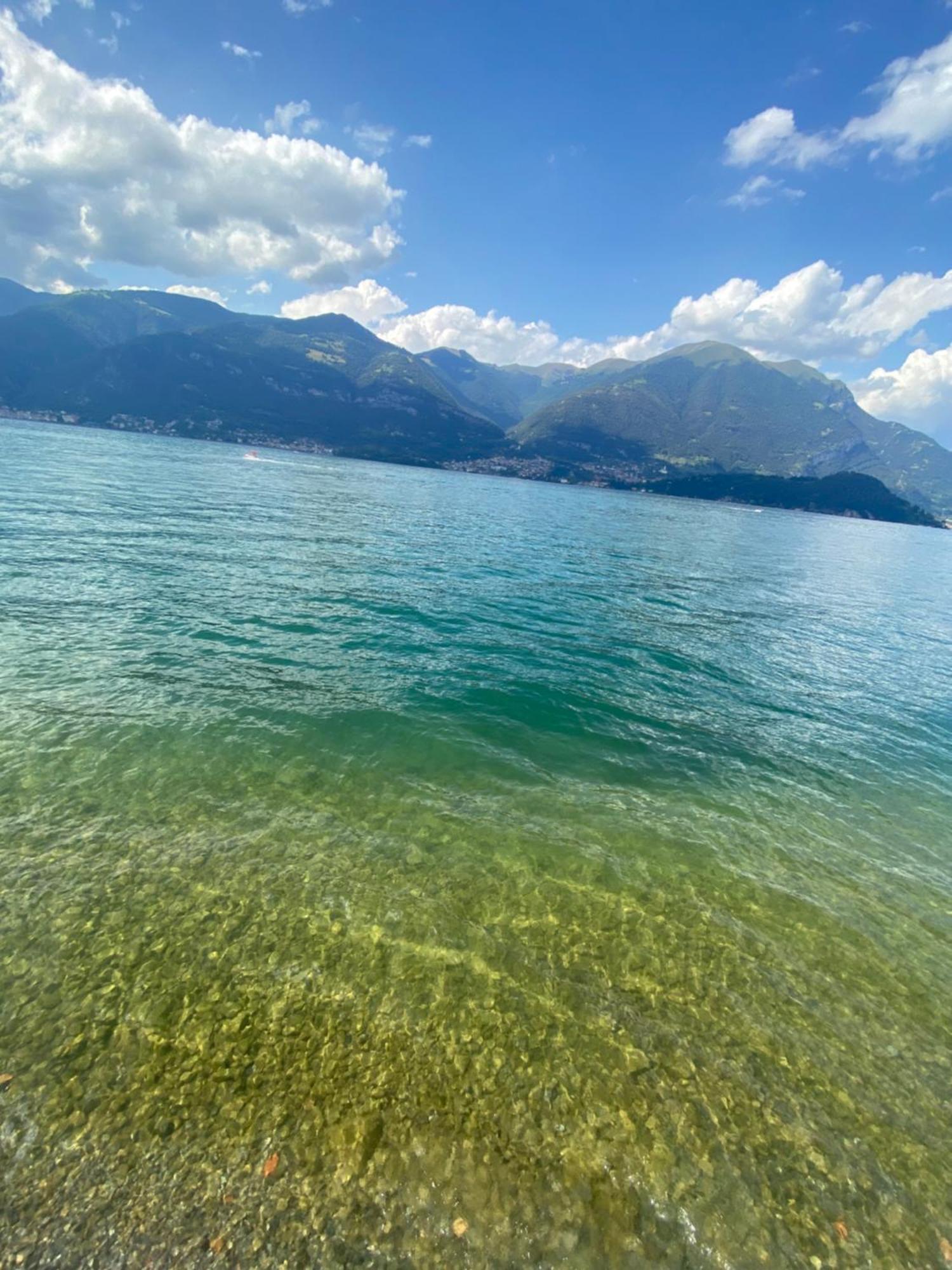 Peonia Apartment - Appartamento Vista Lago Lezzeno Eksteriør bilde