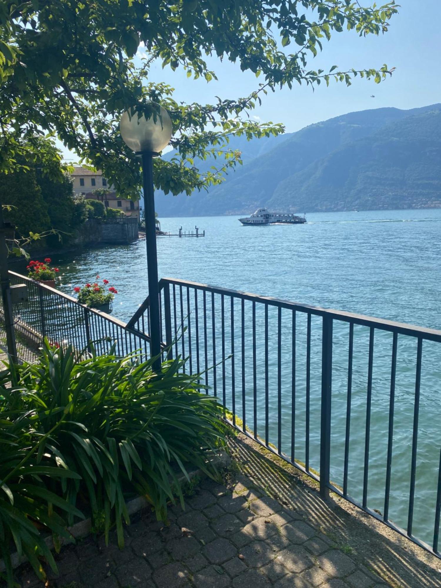 Peonia Apartment - Appartamento Vista Lago Lezzeno Eksteriør bilde