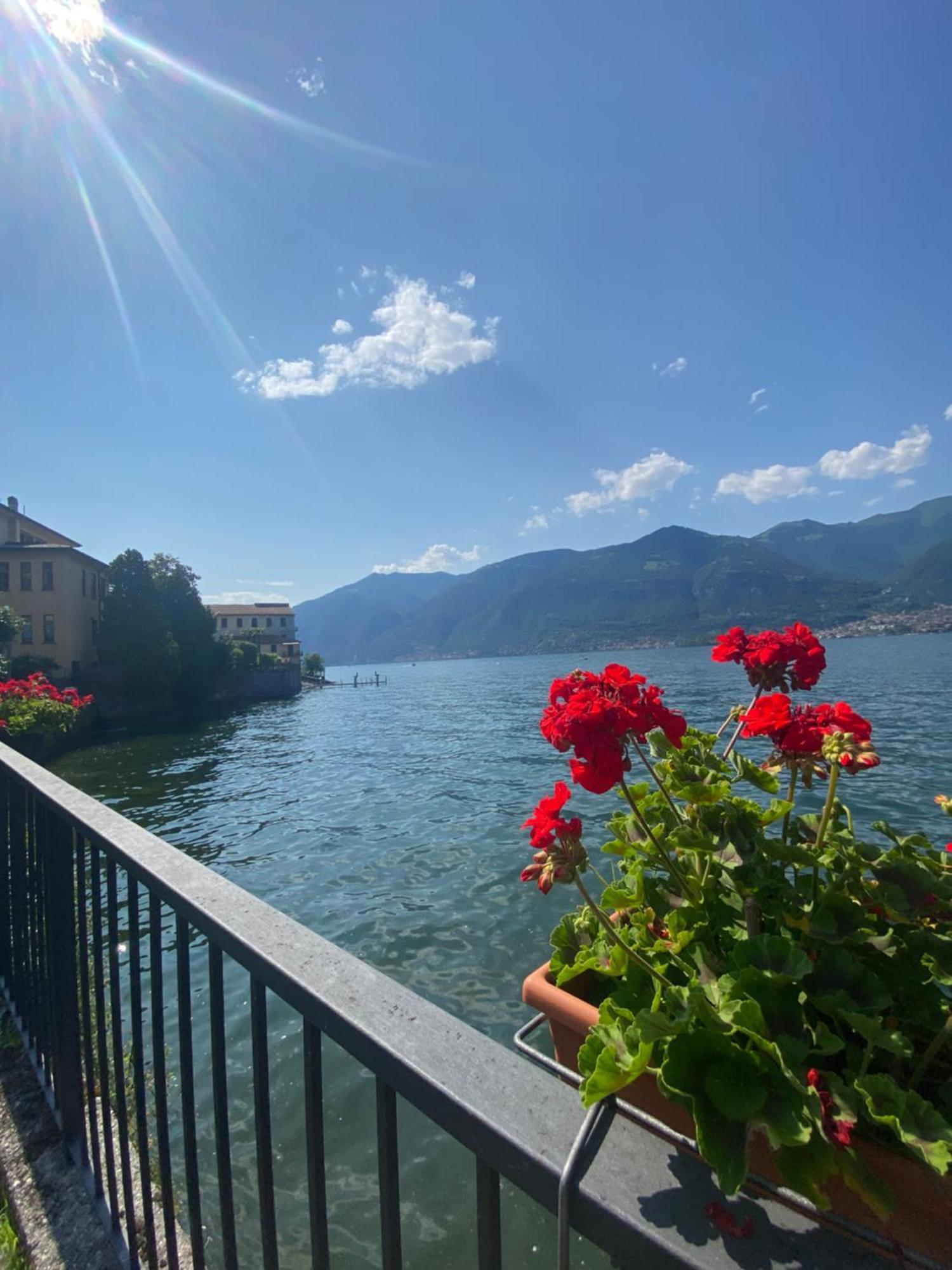 Peonia Apartment - Appartamento Vista Lago Lezzeno Eksteriør bilde