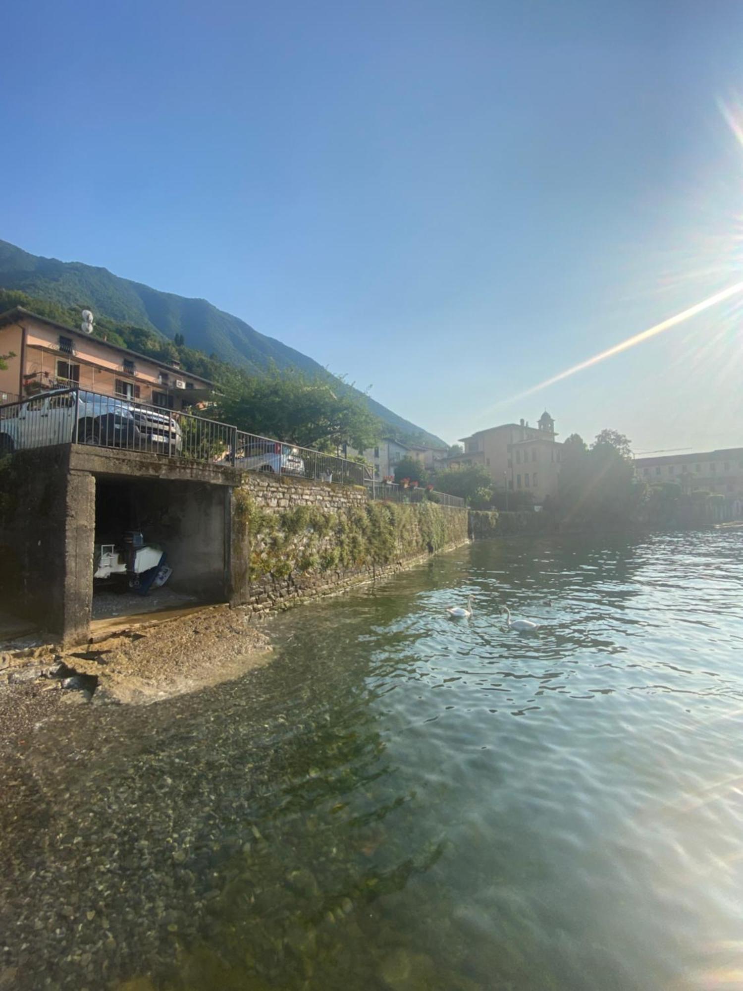 Peonia Apartment - Appartamento Vista Lago Lezzeno Eksteriør bilde
